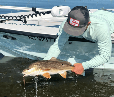 Charleston South Carolina Fishing Charters